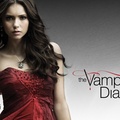 The_Vampire_Diaries_Supernatural_TV_Series.jpg