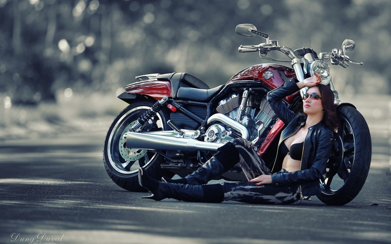 Harley Davidson and Asian Model