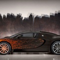 Bugatti Veyron Grand Sport Bernar Venet 2012