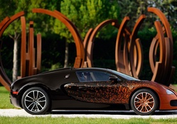 Bugatti Veyron Grand Sport Bernar Venet 2012 Car