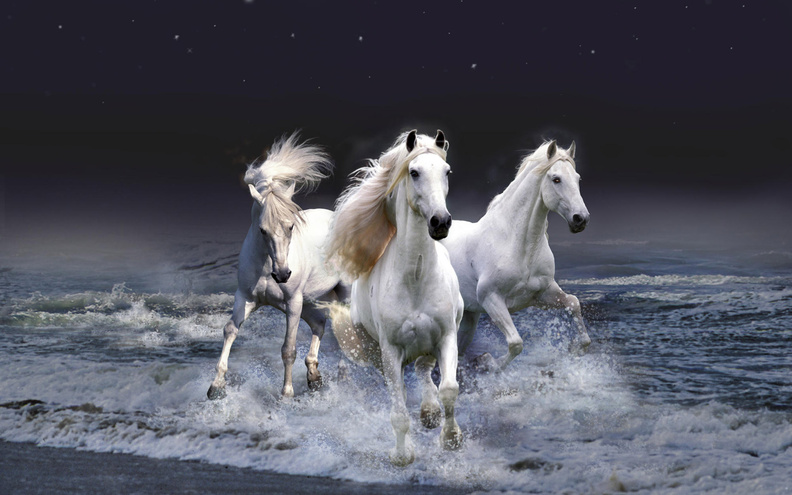 White_Horses.jpg
