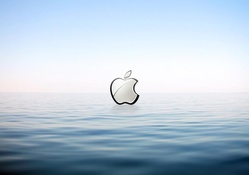 Sea Surface Apple QuickTime
