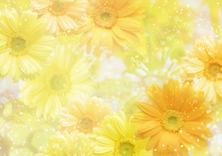 Background Of Yellow Flowers