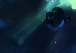 Black Cat Flying