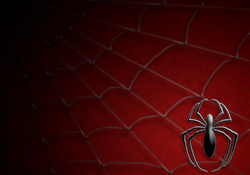 Spiderman Costum Spider