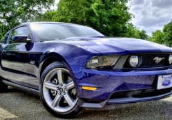 shiny purple ford mustang hdr