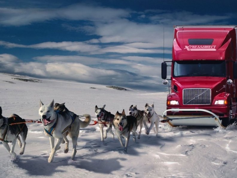 fantasy truck powered by dogs