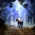 fantasy horse