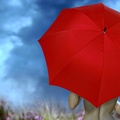 Big Red Umbrella