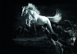 Horse and Wolves