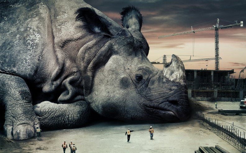 Giant rhino
