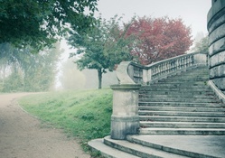 Foggy Road and Stairs