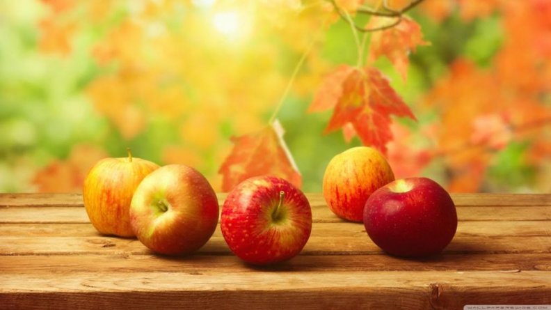 fall_apples.jpg