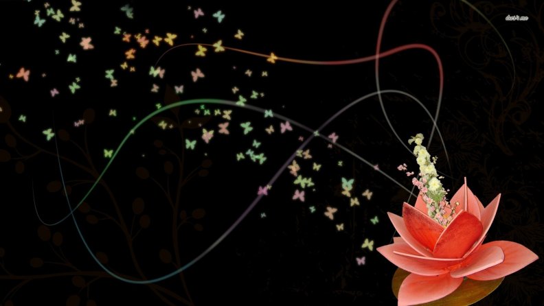 lotus_butterfly_abstract.jpg