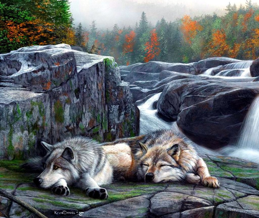 Wolves Resting
