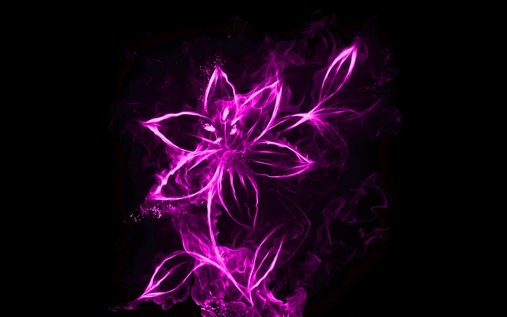 Purple Smoke Flower