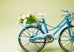 Flower on a Bike