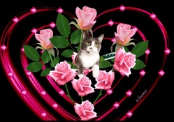 Pinks Roses and Kitty