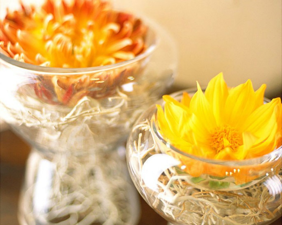Flowers in a Glass