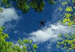 ~*~ Airplane Photography ~*~