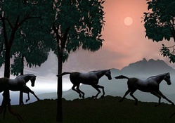 Twilight galloping