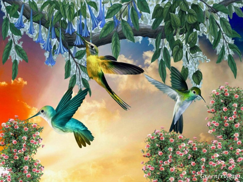 hummingbirds_feeding.jpg