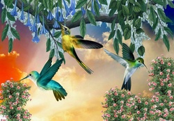 HUMMINGBIRDS FEEDING