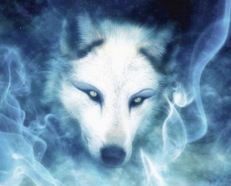 wolf_spirit.jpg