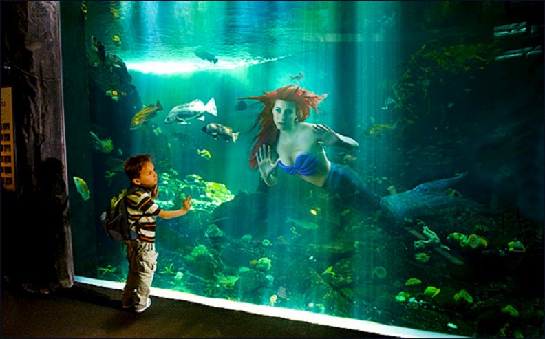 little_boy_and_mermaid.jpg