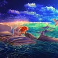 Dreams & Dolphins