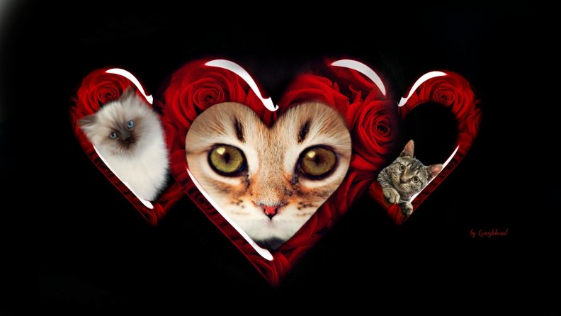 kittens_and_hearts_fantasy.jpg