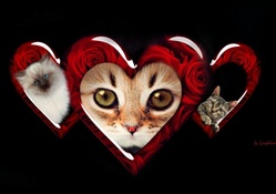 Kittens and Hearts Fantasy