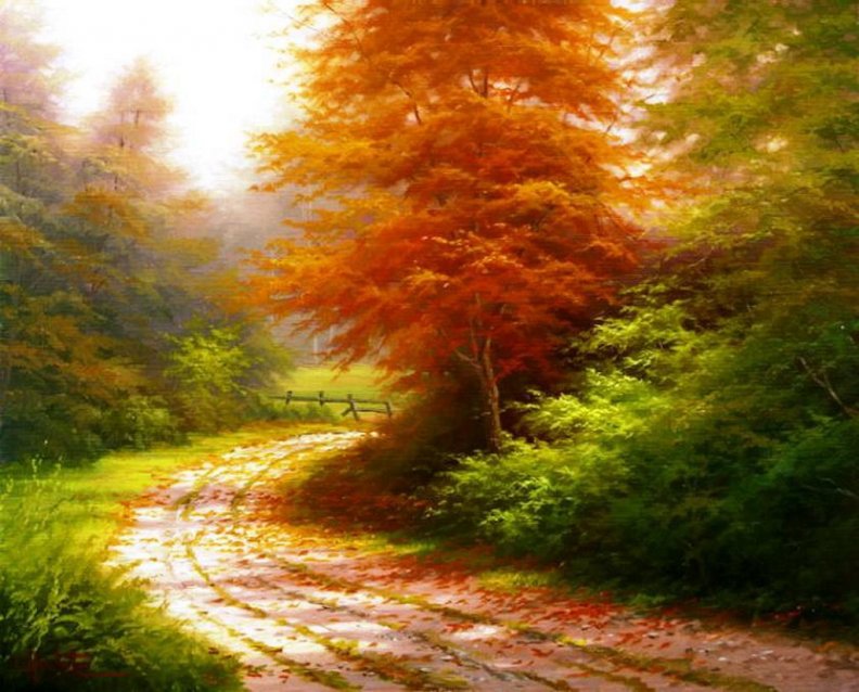 autumn_path.jpg