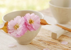 Flowers in tea cup