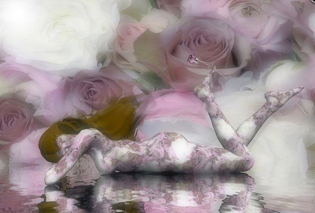 My Beautiful Fantasy Pink Rose Dream