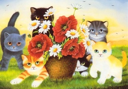 Kittens and poppies