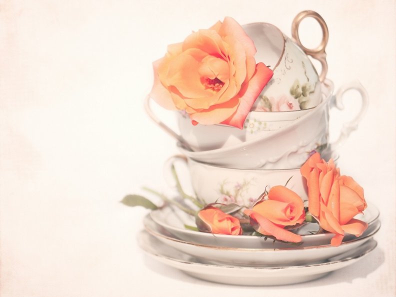 lovely_roses_and_teacups.jpg