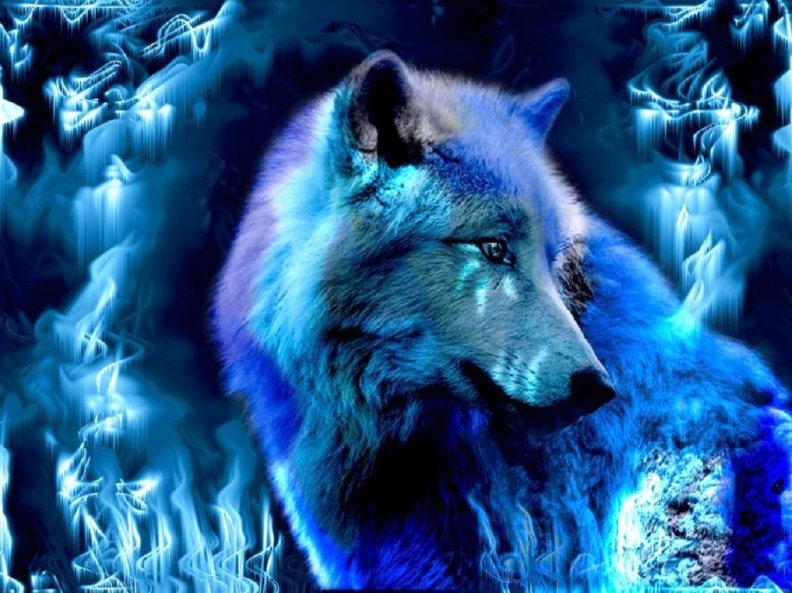 blue_wolf.jpg
