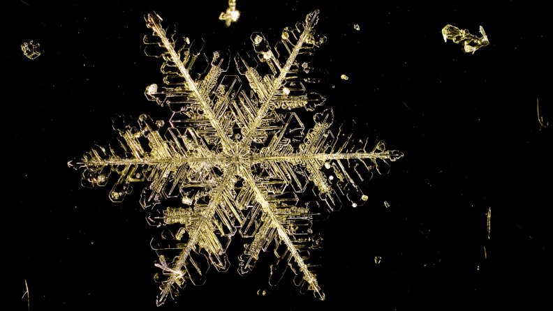 snowflake_under_a_microscope.jpg