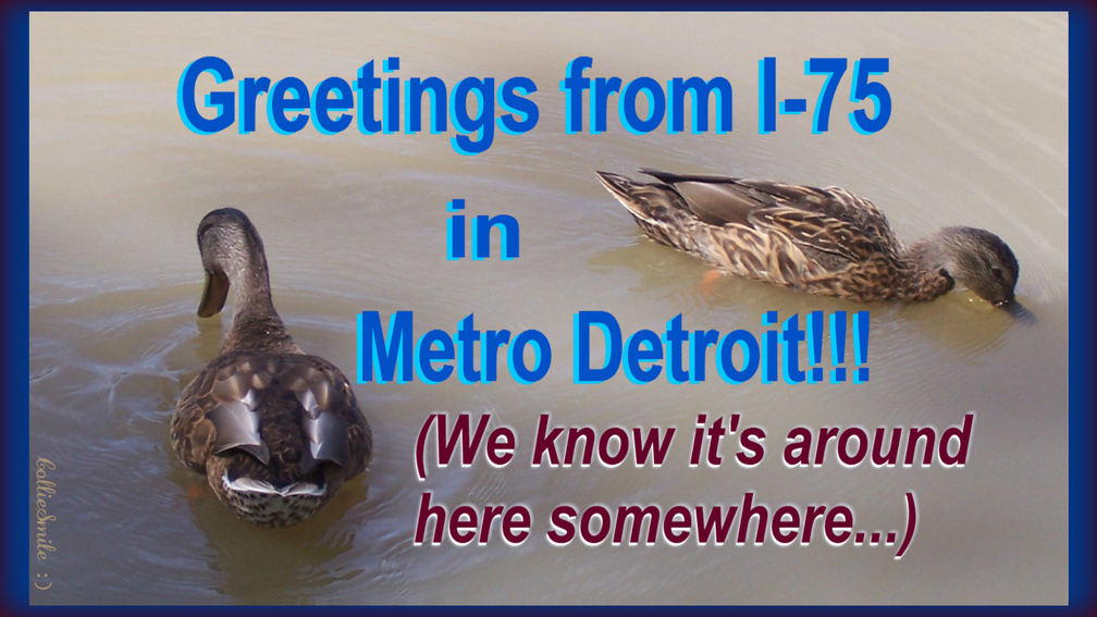 Getting Along Swimmingly in Metro Detroit...