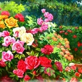 Roses garden