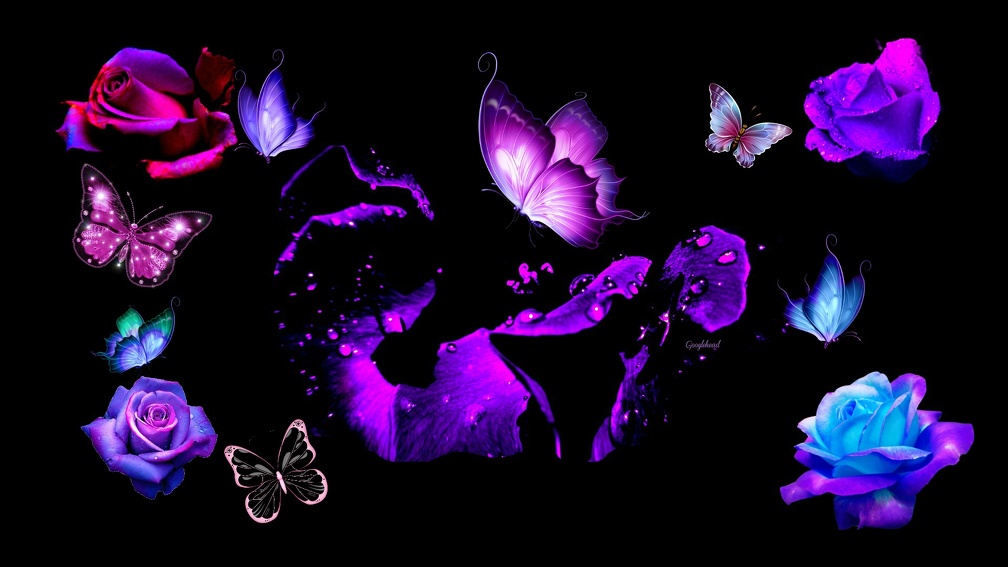 Roses &amp; Butterflies Desktop