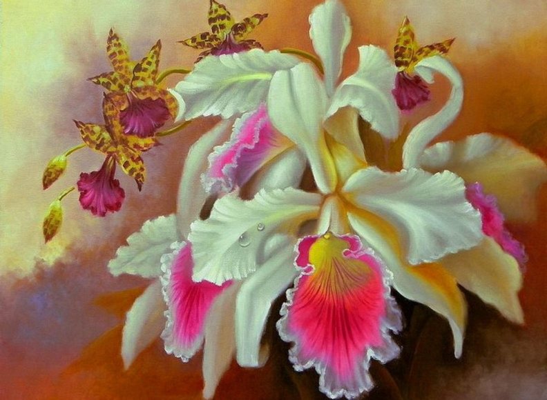 beautiful_orchid.jpg