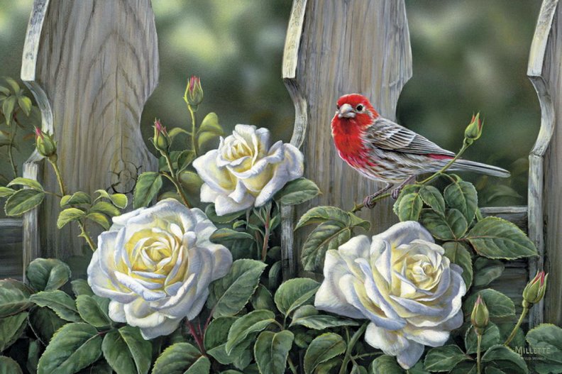 house_finch_and_roses_doormat.jpg