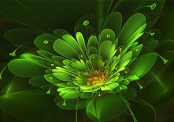 Abstract Green Flower