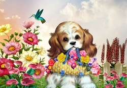 PUPPY WITH BASKET OF FLOWERS