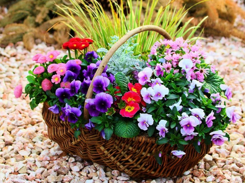Floral basket