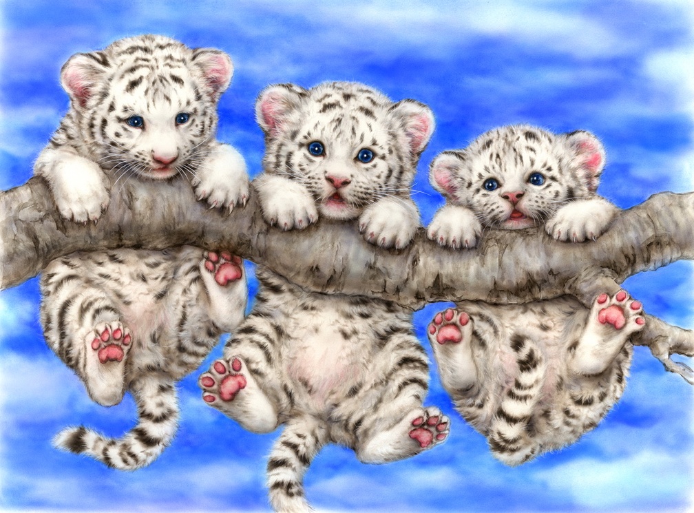 Funny white tigers