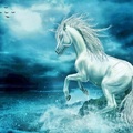 White Horse By The Sea