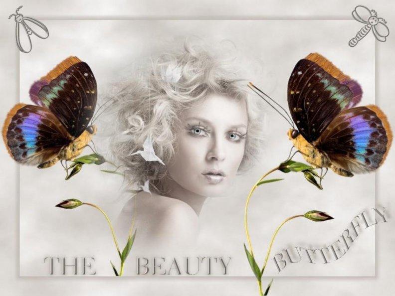 beauty_butterfly.jpg